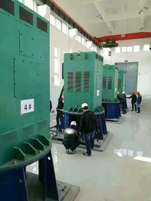 金川某污水处理厂使用我厂的立式高压电机安装现场生产厂家