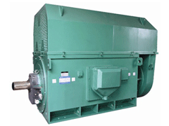 金川Y系列6KV高压电机